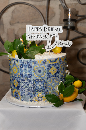 Dana.Bridal.6.22.25_-012