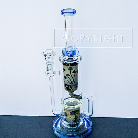bongs.4.1.23_-2352
