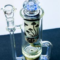 bongs.4.1.23_-2355