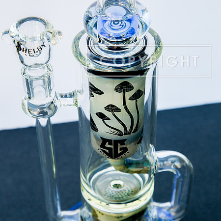 bongs.4.1.23_-2355