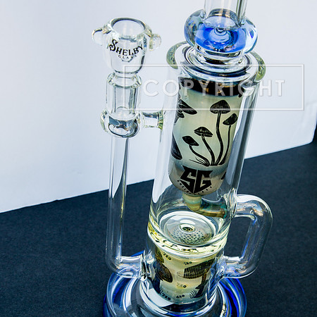 bongs.4.1.23_-2356