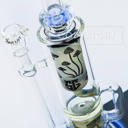 bongs.4.1.23_-2357