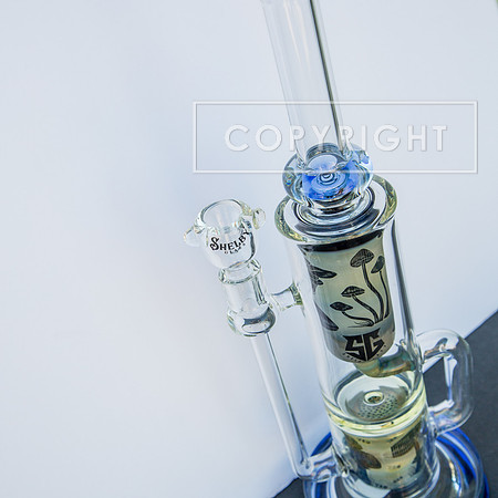bongs.4.1.23_-2360