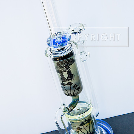 bongs.4.1.23_-2361