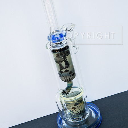 bongs.4.1.23_-2362