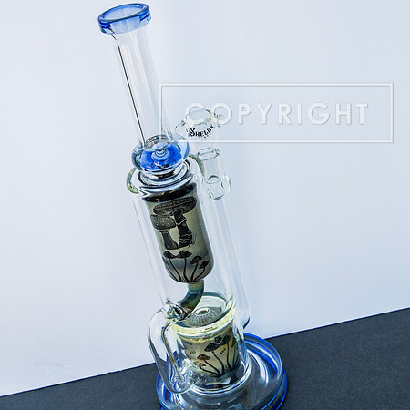 bongs.4.1.23_-2363
