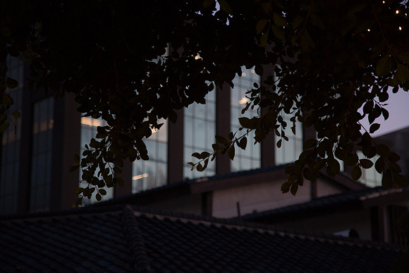 Ezra.tokyo.1.15.23_-94