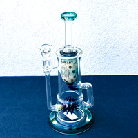 Bonga.4.20.23_-4