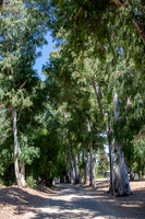 Camp.Alonim.6.30.23_-001