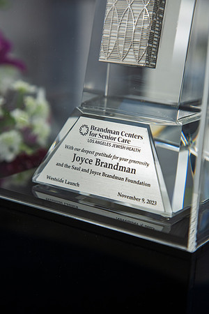 Brandman.Joyce.11.9.23_-010