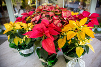 BHWC.Holiday.12.6.23_-011