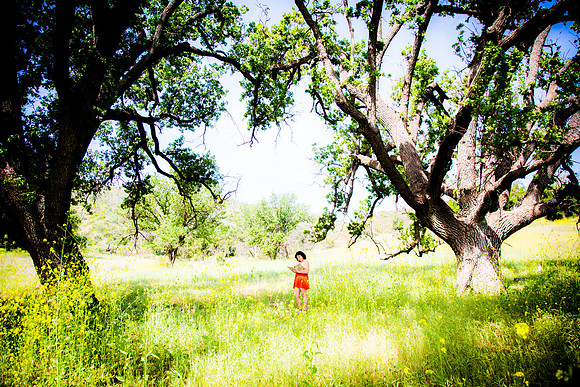 Shoshana.4.10.22_-29