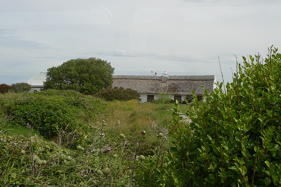 L1130590
