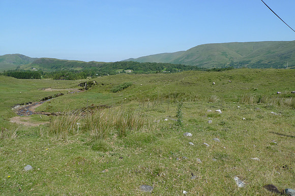 L1130691