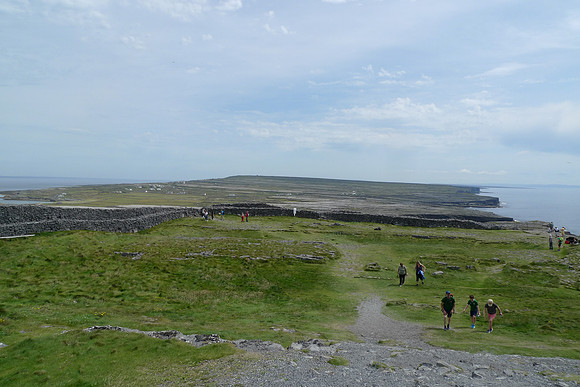 L1130651