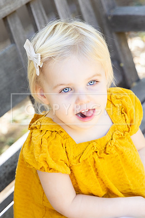 hnh.wed..11.13.24_-167