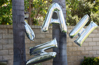 Noah.6.20.21_-11