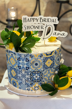 Dana.Bridal.6.22.25_-009