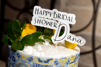 Dana.Bridal.6.22.25_-013