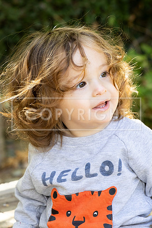 hnh.frid.11.15.24_-180