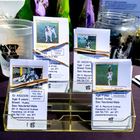 8.24.25 PHS  San Marino Classic Car Show