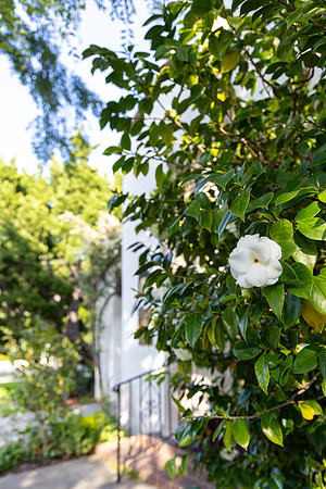 BHWC.Veranda.4.24.25_-056
