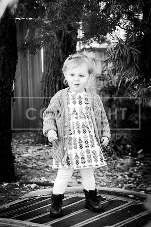 HnH.Tuesday.11.12.24_-057